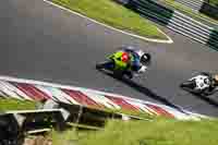 cadwell-no-limits-trackday;cadwell-park;cadwell-park-photographs;cadwell-trackday-photographs;enduro-digital-images;event-digital-images;eventdigitalimages;no-limits-trackdays;peter-wileman-photography;racing-digital-images;trackday-digital-images;trackday-photos